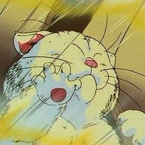 Meet your Posher, Perc